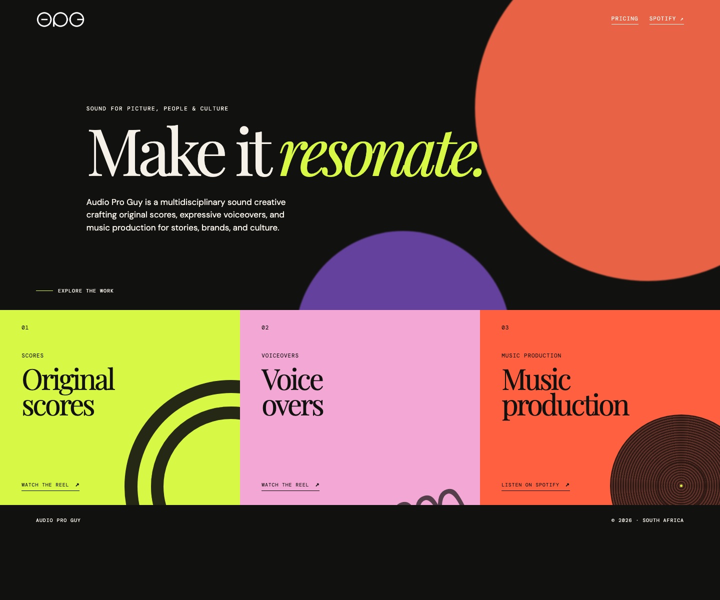 Audio Pro Guy website homepage screenshot